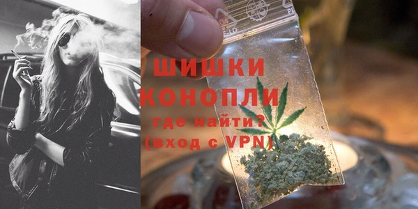 ГАЛЛЮЦИНОГЕННЫЕ ГРИБЫ Аркадак